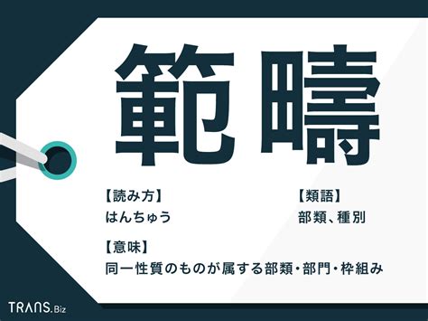 範疇先生|「範疇」の意味と使い方、類語、英語表現、「範囲」との違い